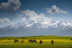 Sanat Travel - Uzbekistan Group and Private tours 2020/2021 - Unpassed Routes of Nomads - www.sanattravel.com